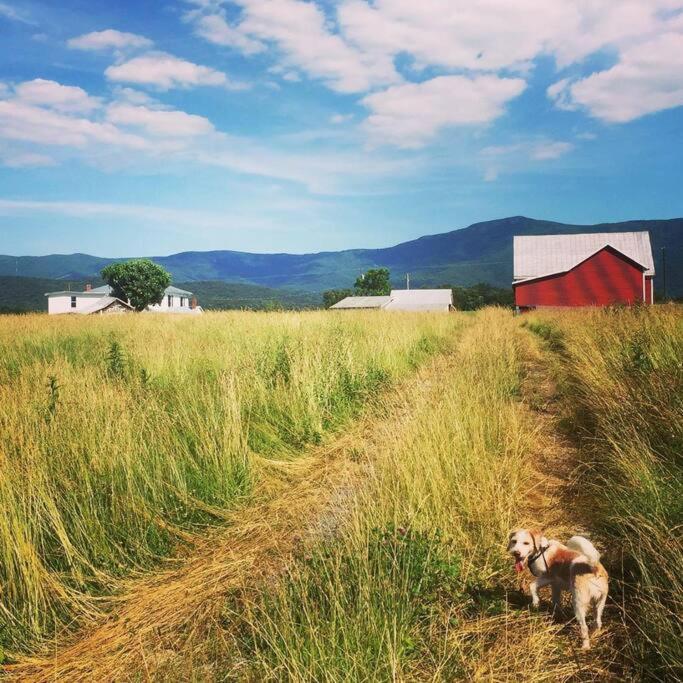 Madeline Farms Villa Luray Exterior foto
